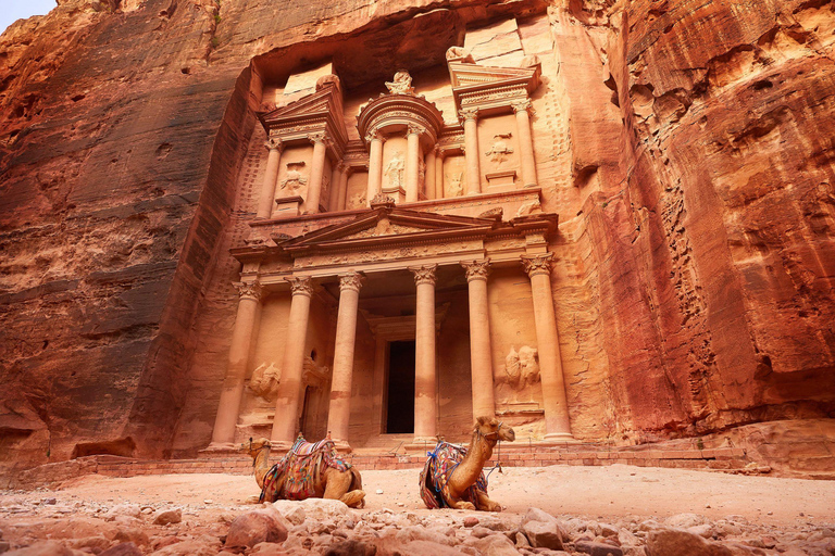 Au départ d'Amman : Excursion privée d'une journée à Petra et à la Mer MortePétra et la mer Morte sans frais d'entrée