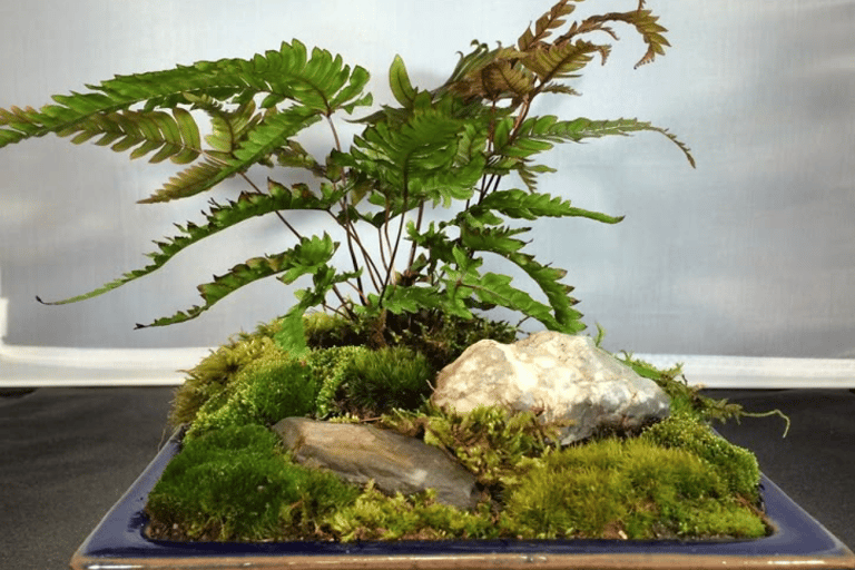Guangzhou: Mini Landscape Bonsai Making Experience