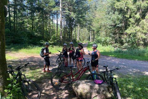 Vosges: Three-day eMTB trek Vosges: a three-day trek on an electric mountain bike