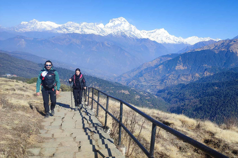 Ghorepani Poon Hill Trek - 4 Days