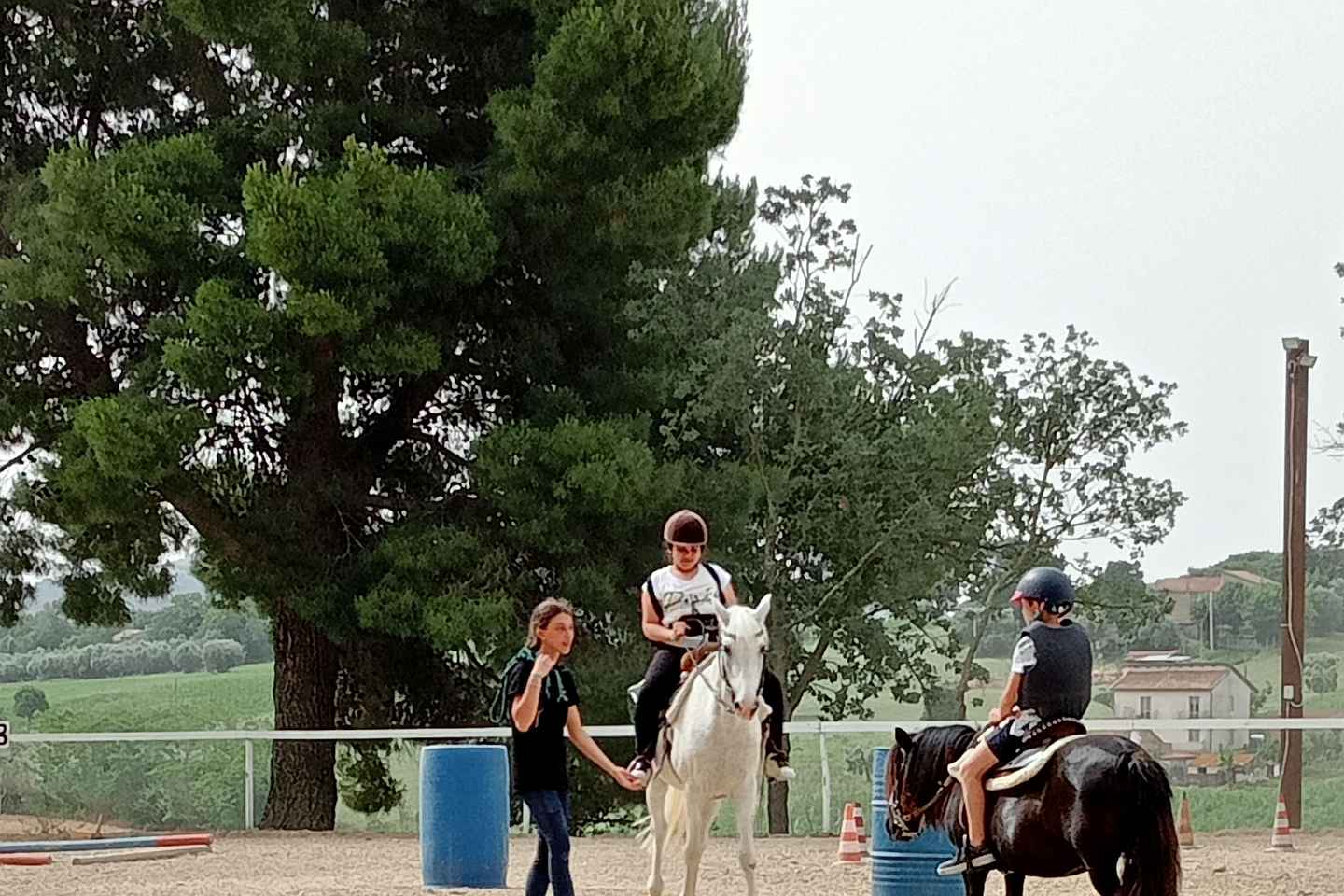 Recanati: Lezioni di equitazione per bambini e adulti