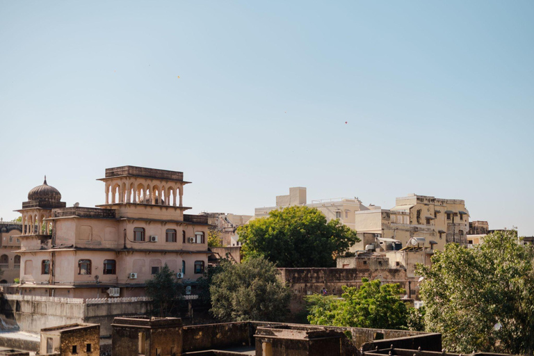 Ab Delhi: Geführte Tour durch Mandawa über Nacht mit dem AutoPrivater Transport, Reiseleiter, Gebühren für Denkmäler und 5-Sterne-Hotel