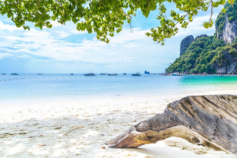 Phuket: Similan Islands Speedboat Tour with Lunch