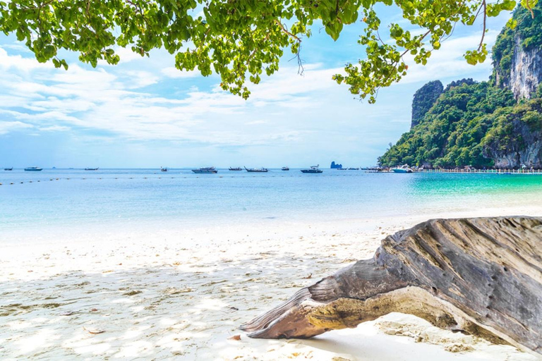 Phuket: Similan Islands Speedboat Tour with Lunch