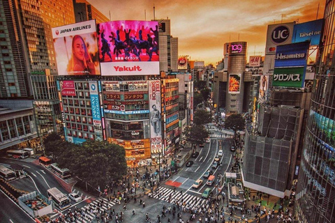 Jednodniowa wycieczka po mieście Tokio z anglojęzycznym kierowcą.