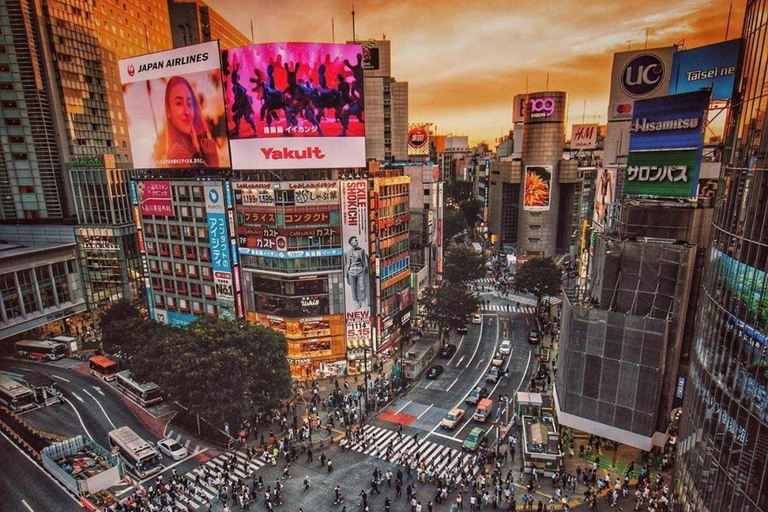 Jednodniowa wycieczka po mieście Tokio z anglojęzycznym kierowcą.