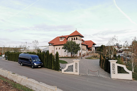 Transfer von Sinaia nach Bukarest oder Bukarest Flughafen