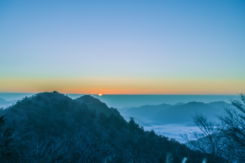 Immersive Experience Tour in Totsukawa village