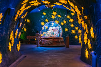 Von Zürich, geführter Tagesausflug nach Jungfraujoch mit Zugfahrt - Housity