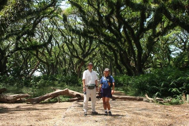 Banyuwangi: Djawatan Forest & Baluran National Park Tour