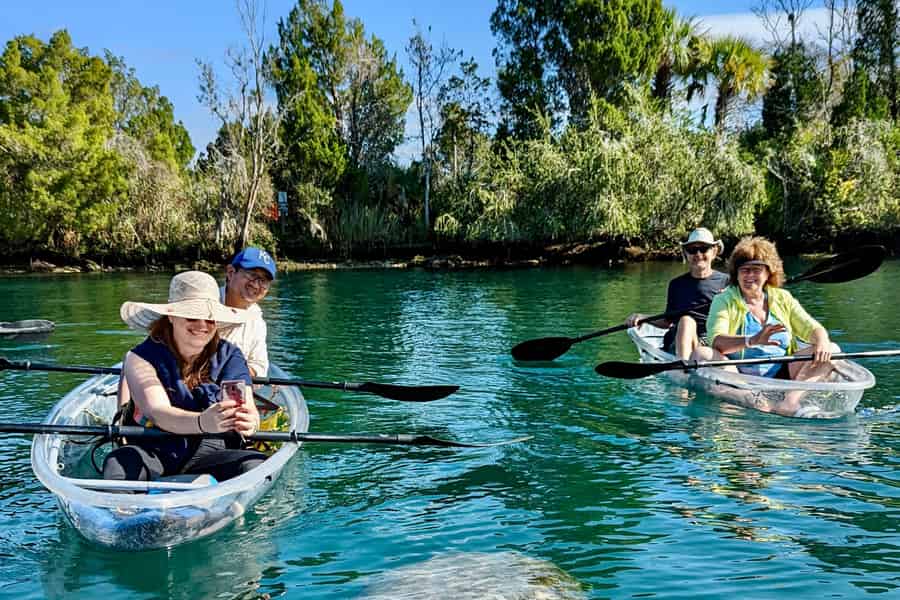 Crystal River: Seekühe & Quellen im durchsichtigen Kajak. Foto: GetYourGuide Crystal River: Seekühe & Quellen im durchsichtigen Kajak. Foto: GetYourGuide