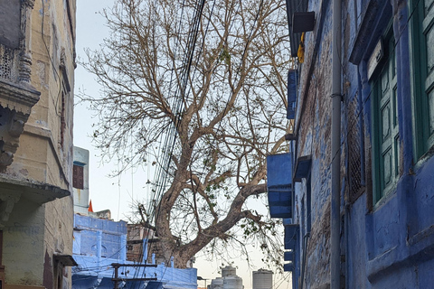 Jodhpur: Fort Mehrangarh i wycieczka piesza po Błękitnym Mieście