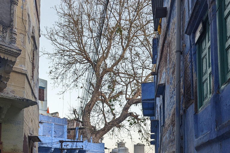 Jodhpur: Mehrangarh Fort en Blauwe Stad wandeltour