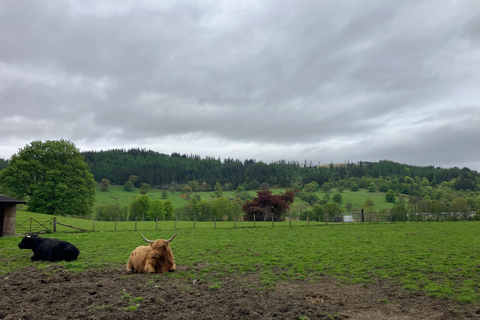 Edinburgh: Private Highlands Tour - Loch Lomond & Glen Coe