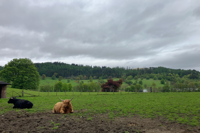 Edinburgh: Private Highlands Tour - Loch Lomond & Glen Coe
