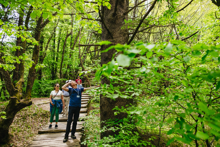 From Split or Trogir: Plitvice Lakes Tour with Entry Tickets Plitvice Lakes: Group tour from Trogir