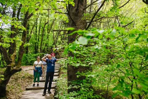 From Split or Trogir: Plitvice Lakes Tour with Entry Tickets