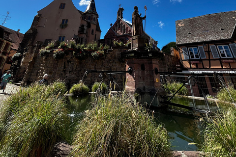 Alsace: Private Wine Tour with Tastings and Transfers Half Day Tour