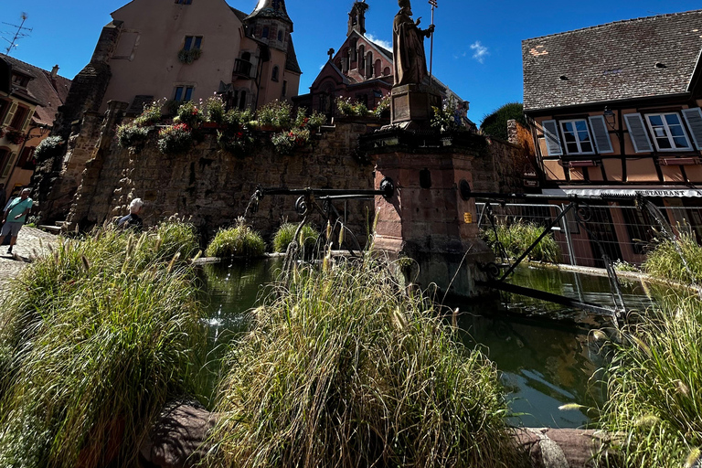 Alsace: Private Wine Tour with Tastings and Transfers Half Day Tour