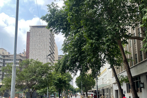 Soweto Soul &amp; Apartheid Echoes Half-Day Tour