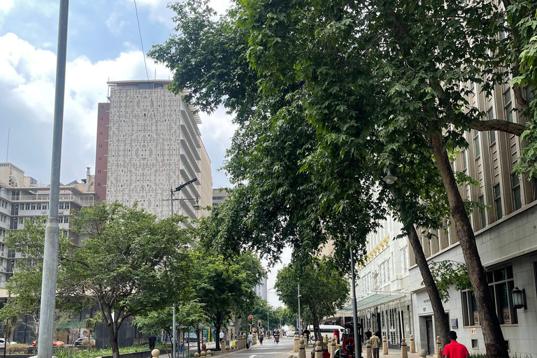 Soweto Soul &amp; Apartheid Echoes Half-Day Tour