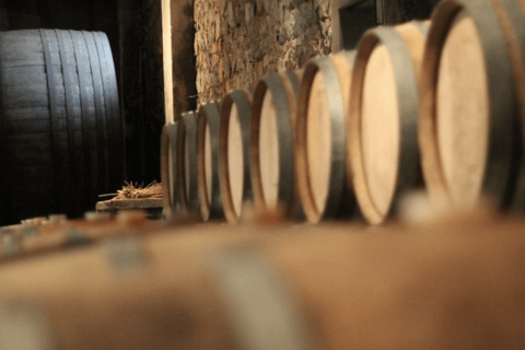 Montevideo: Spinoglio and Bouza Wineries tour with tasting