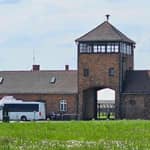 Da Cracovia: tour guidato di Auschwitz-Birkenau con pick-up