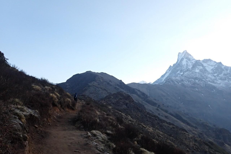 Pokhara : trek de 4 jours au Mardi Himal avec guide et hébergementPokhara : Trek de 4 jours au Mardi Himal avec guide et hébergement