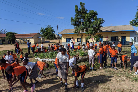 Besök Rwanda Tour