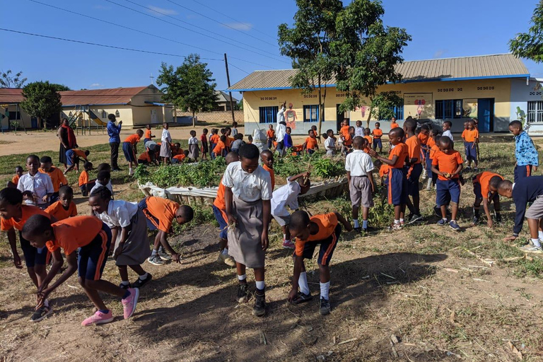 Besök Rwanda Tour