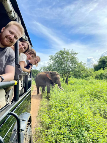 Vanuit Hikkaduwa/Galle/Mirissa : Udawalawa Safari & Drop Ella