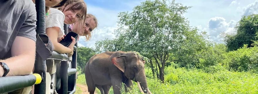 De Galle/ Mirissa/ Tangalle : Udawalawa Safari & Drop Ella