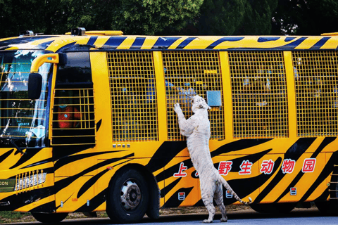 Shanghai: Ticket de entrada al Parque de Animales Salvajes