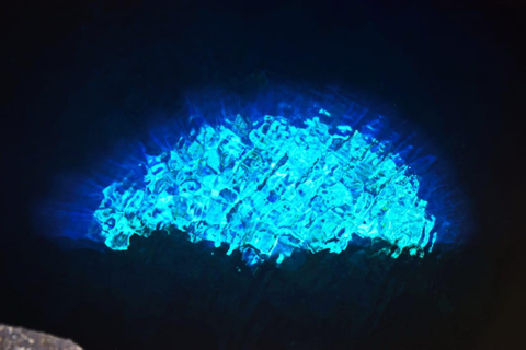 Snorkel, excursión a la isla, excursión a las tortugas, catamarán, pescaExcursión por la isla. Snorkel, pesca, observación de tortugas.Catamarán