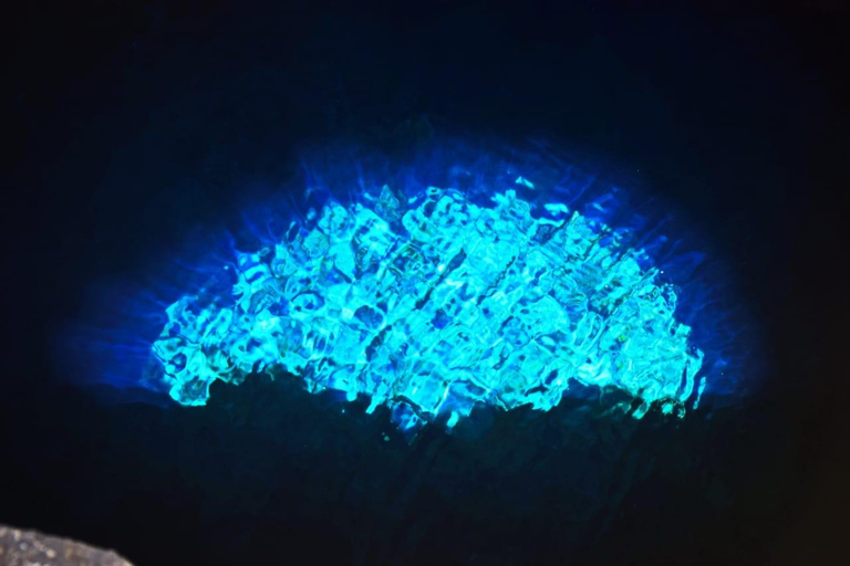 Snorkel, excursión a la isla, excursión a las tortugas, catamarán, pescaExcursión por la isla. Snorkel, pesca, observación de tortugas.Catamarán