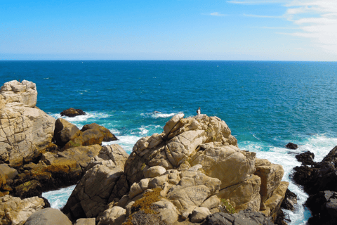 ISLA NEGRA AND ALGARROBO WITH VINICOLA UNDURRAGA - TOUR : CHILE