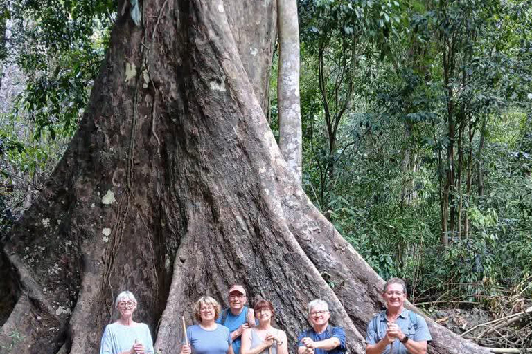 Luang Prabang: 3-Day Nong Khiaw Hiking and Kayaking Tour