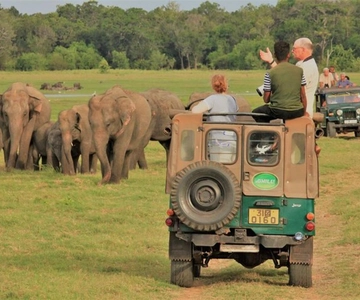Safari con gli elefanti selvatici nel Parco Nazionale di Minneriya