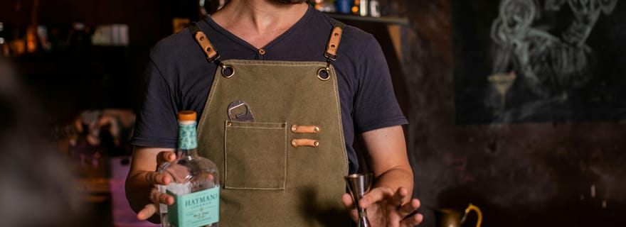 Prague : Atelier de fabrication de cocktails avec un mixologue