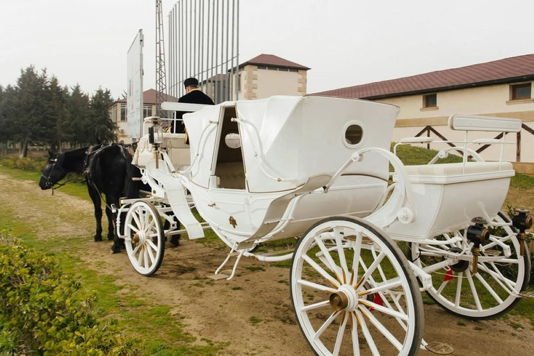 巴库骑马体验：邂逅世界名驹标准套餐