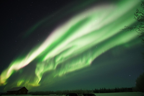 Fairbanks: Aurora Borealis Night Sky Tour & Photography