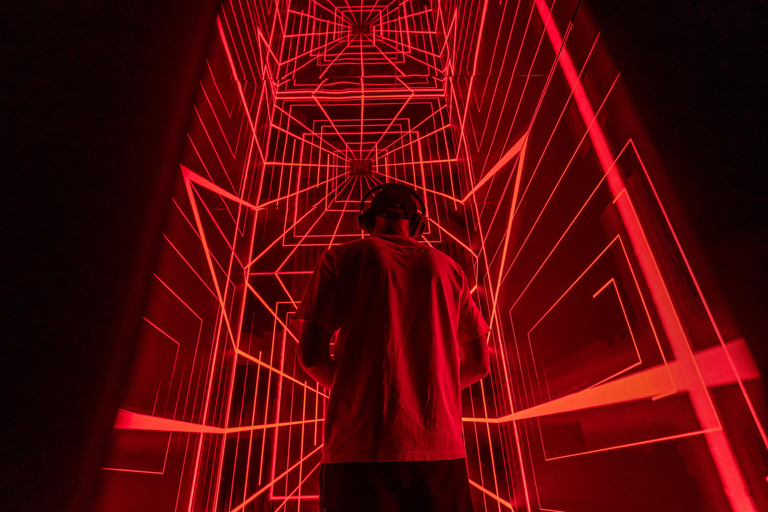 VIDENIE Immersive Art Space Entry Ticket