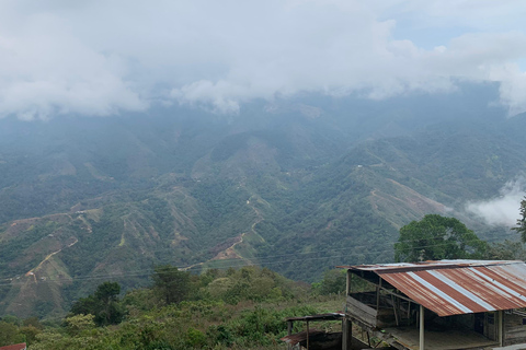 Entre Nubes - Sunrise at Cerro Kennedy, Pozo Azul, and Cacao Experience Between Clouds, Pozo Azul, and Cacao – Departure from the Minca Bridge