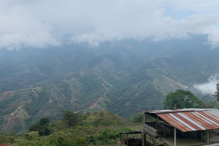 Entre Nubes - Sunrise at Cerro Kennedy, Pozo Azul, and Cacao Experience Between Clouds, Pozo Azul, and Cacao – Departure from the Minca Bridge