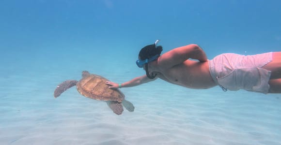 Sal: Snorkeling with Turtles in Santa Maria