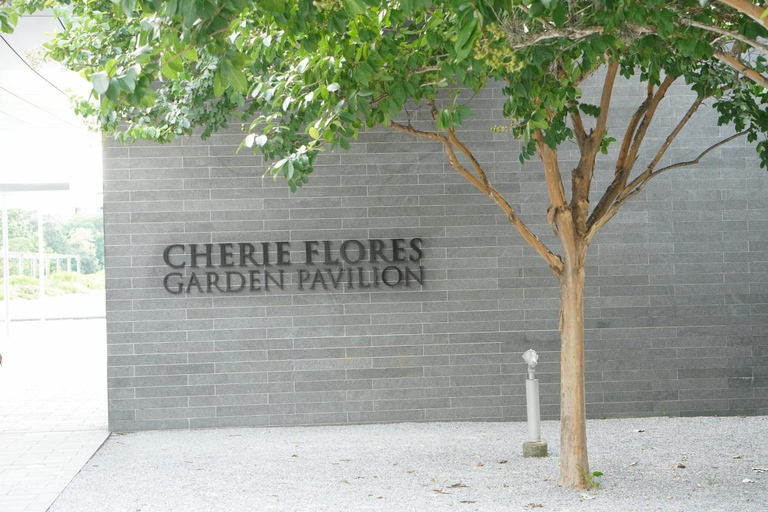 7-Hour Best Of Houston and Galveston Tour