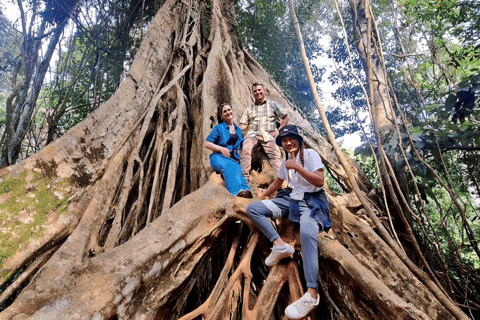 Bangkok: Tour a piedi per piccoli gruppi del Parco Nazionale di Khao YaiTour privato con servizio di prelievo e rientro in hotel