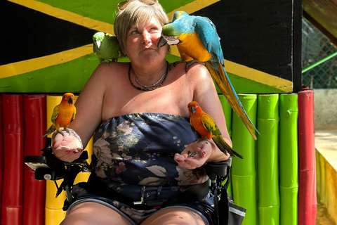 Doctor cave beach one of the best beaches in Montego Bay