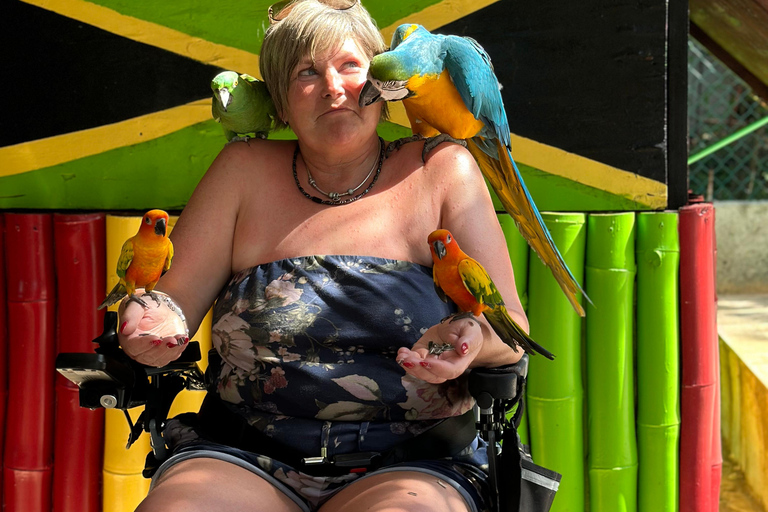 Doctor cave beach one of the best beaches in Montego Bay