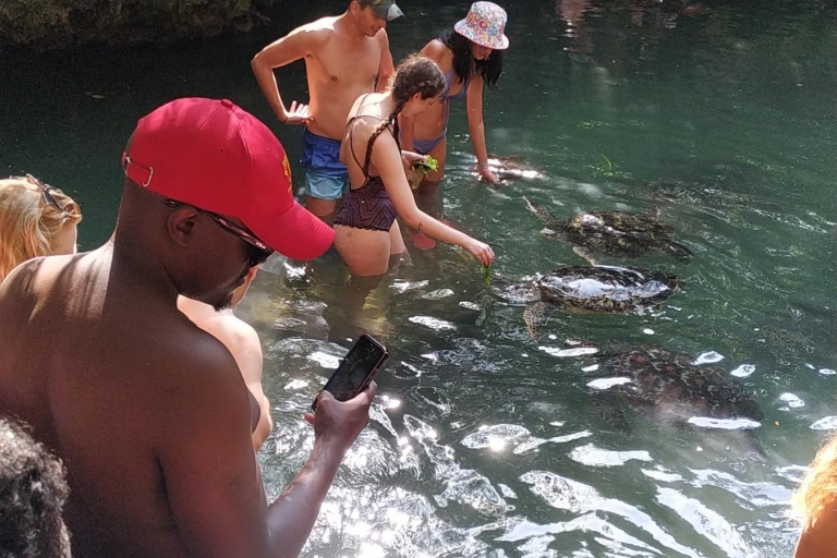 Zanzíbar: Excursión con delfines y snorkel en la isla de MnembaBaraka Aquriam nadando con tortugas
